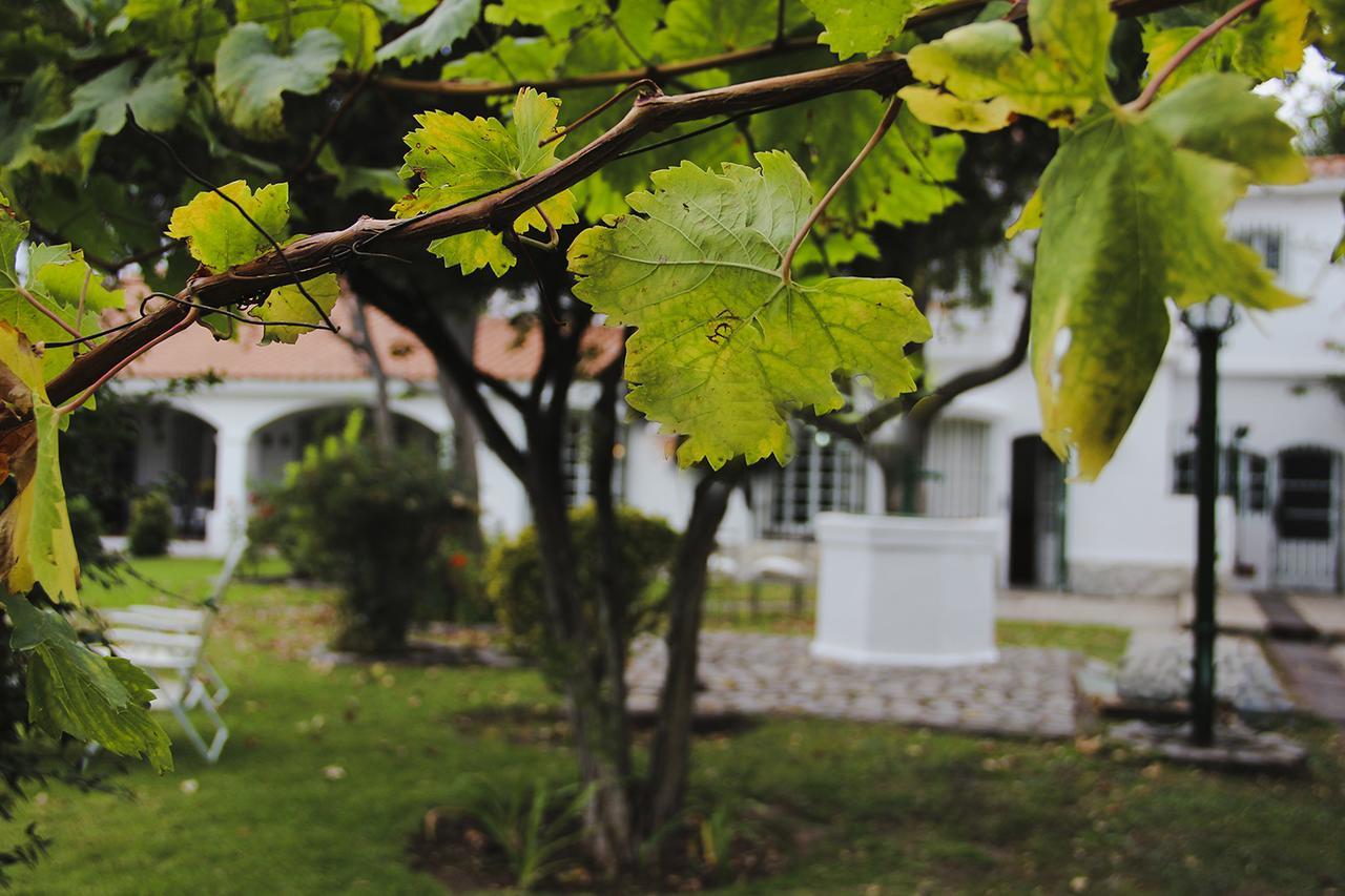 Chiara Lodge Chacras de Coria Εξωτερικό φωτογραφία